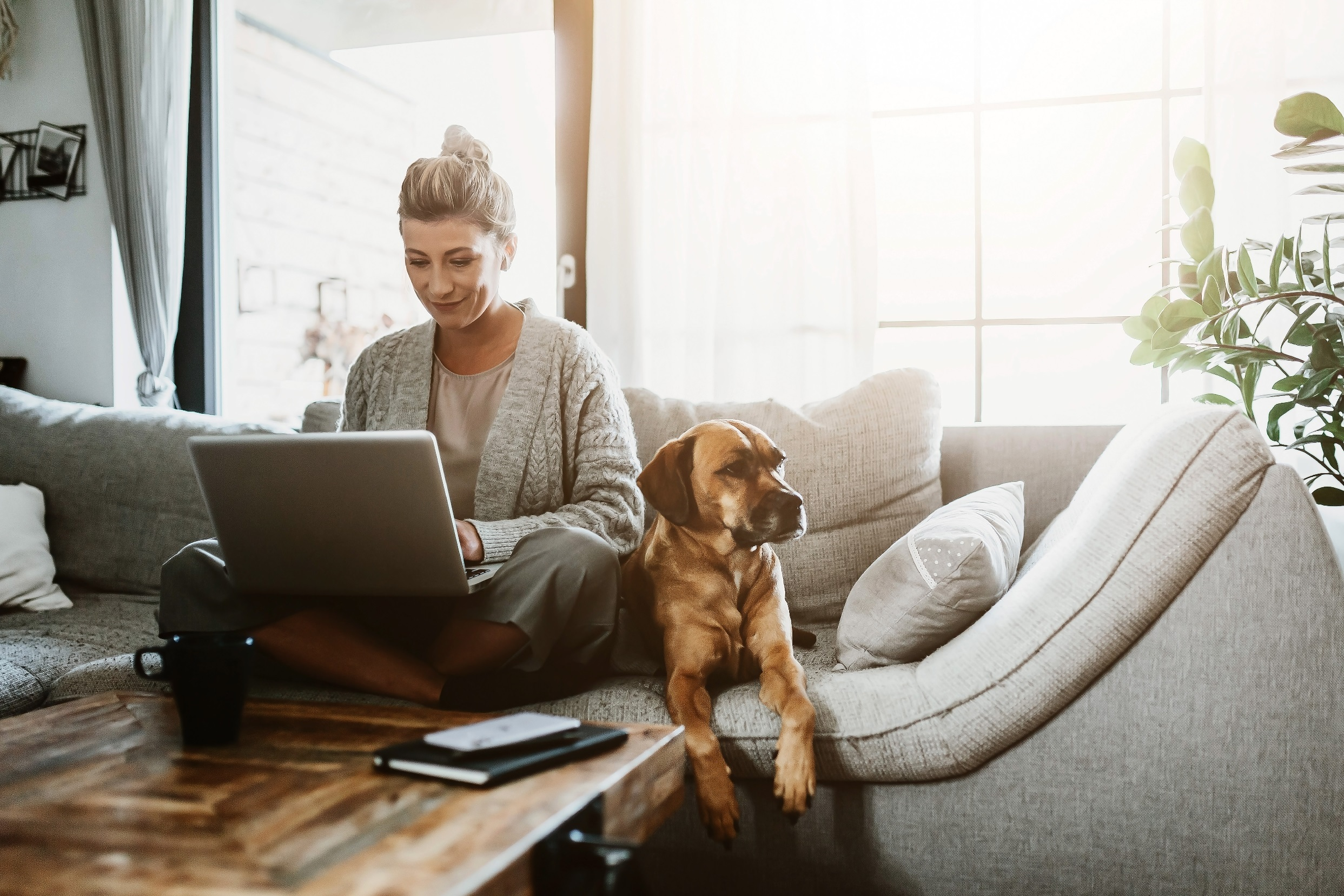 woman sat on sofa with laptop